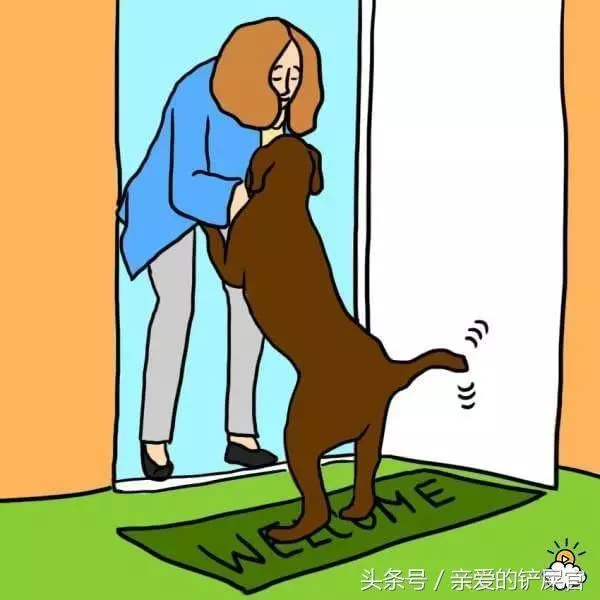 當狗狗出現這些行為時不要懊惱,這都是它們愛你的表現