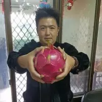 吳敦義指綠營高雄執政差 高市府:想想自己做了什麼