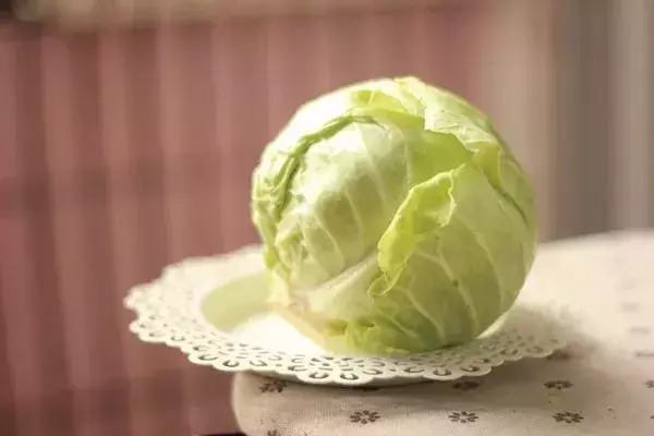 幽門螺桿菌最怕這5種食物,每天堅持吃一點,胃一天比一天好!