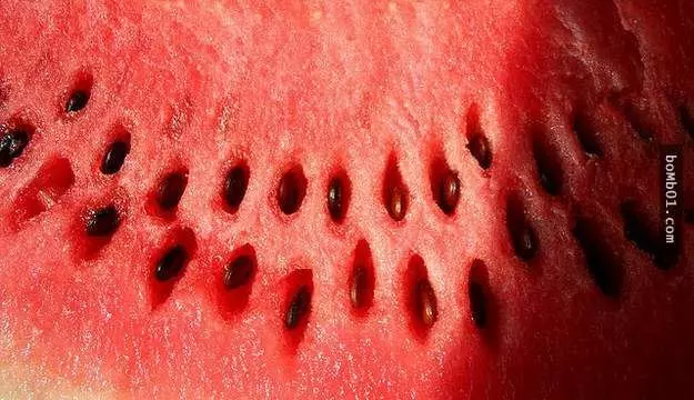 如果你患有密集恐懼症,你一定不敢吃這21種食物!