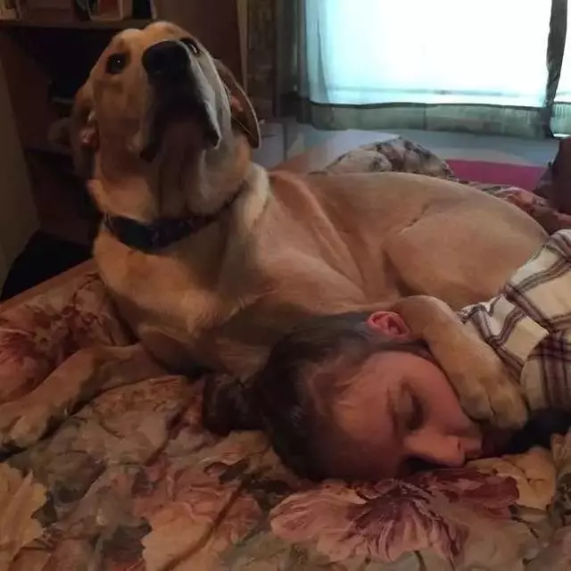 狗狗忽然瘋狂舔你?那是因為它嫉妒了