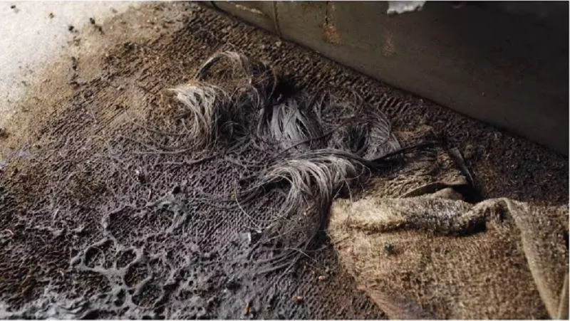 「孤獨死」頭皮黏地毯 他的求救字條再也送不出