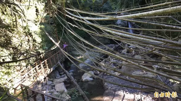 市民喝烏來洗澡水? 柯P:新北說沒問題,不然 怎麼辦?