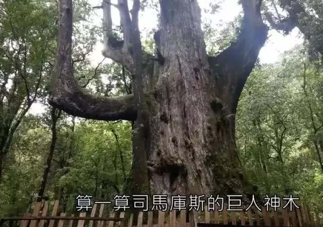 蕭亞軒夜伴嫩男12小時,新戀情曝光居然可以拯救宇宙?