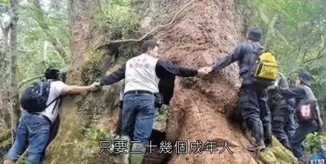 蕭亞軒夜伴嫩男12小時,新戀情曝光居然可以拯救宇宙?