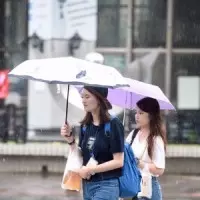 黃國昌罵貪腐 廖婉汝認為屏東縣議會應嚴正回應