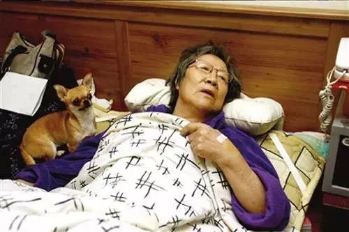 她賣掉了自己的房子,卻讓1000餘只流浪動物擁有了家