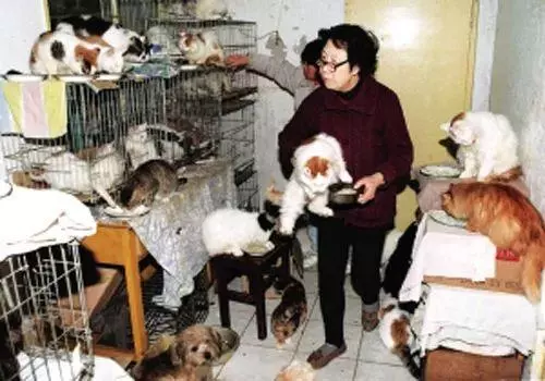 她賣掉了自己的房子,卻讓1000餘只流浪動物擁有了家