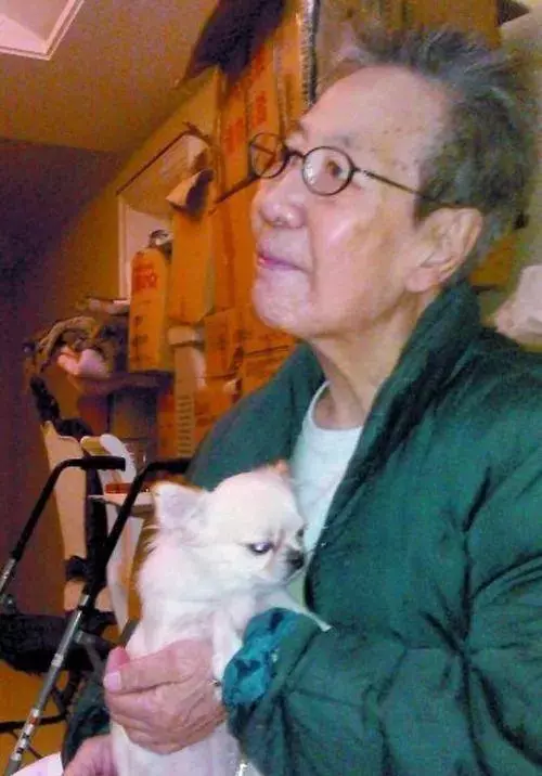 她賣掉了自己的房子,卻讓1000餘只流浪動物擁有了家