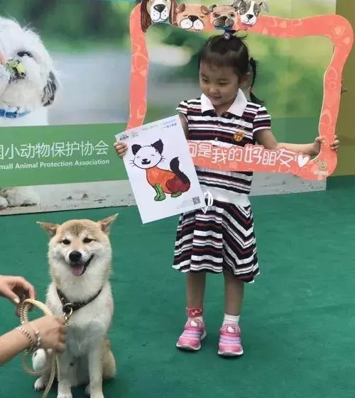 她賣掉了自己的房子,卻讓1000餘只流浪動物擁有了家