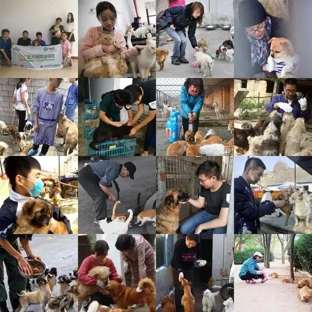 她賣掉了自己的房子,卻讓1000餘只流浪動物擁有了家