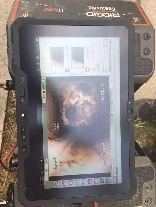 小奶狗掉入下水道排水管,消防員:就算把管道全部挖開也要救它