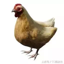 刺激戰場現在真的能吃雞了!海景房被改造成養雞場,還能花式吃雞