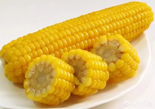 長期喝煮玉米的水,對身體有什麼好處嗎?