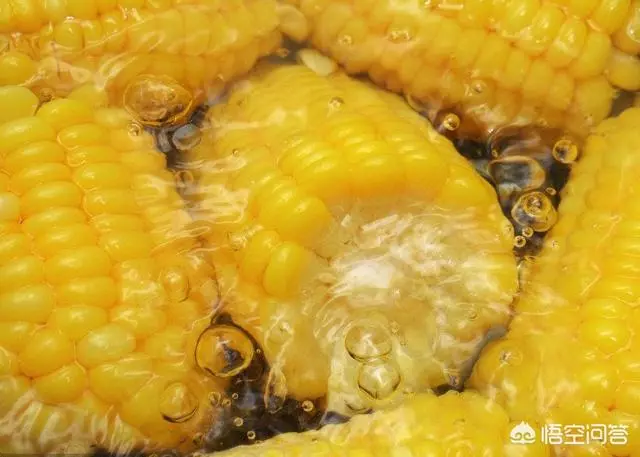 長期喝煮玉米的水,對身體有什麼好處嗎?