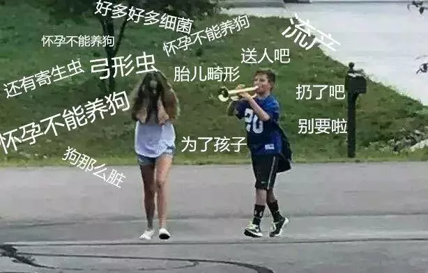 關於狗狗的十個謠言,至少一半你們都聽過