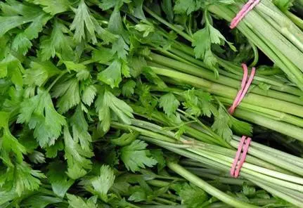 一眼看穿「高麗菜」甜不甜,就靠兩步驟… 花椰菜、芹菜、冬瓜、青椒…就該這樣挑!