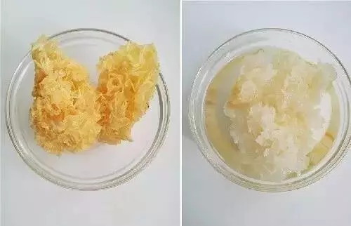 香菇木耳銀耳腐竹,教你絕招2分鐘泡發搞定!以前泡發這些東西浪費好多時間,以後不用了!