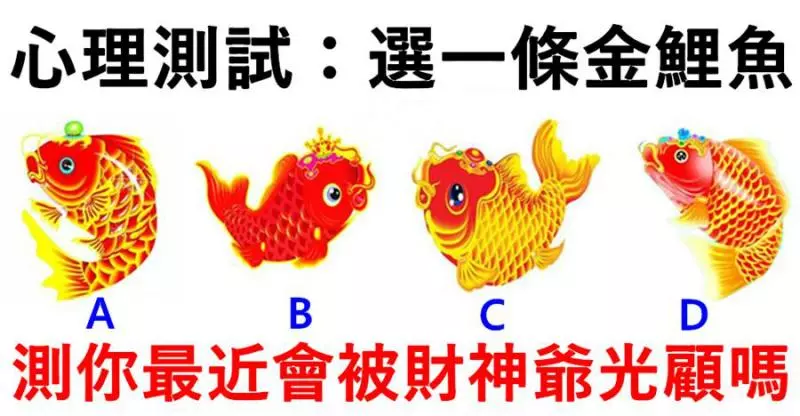 心理測試:四條金鯉魚選一條,測出你最近會不會被財神爺光顧?