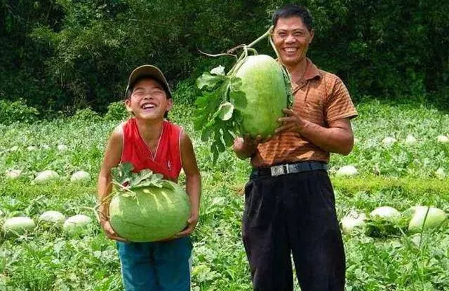 父母進城看我,吃飯時妻子一直給我使眼色,低頭一看我卻淚流滿面