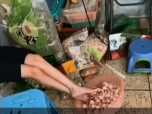 腳踩肉丸超噁心 麻辣燙店遭停業