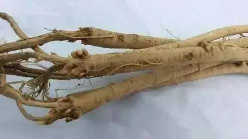 老中醫推薦,一周喝一次年輕10歲!保證補回來!