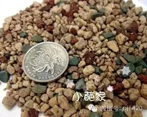 盆栽27種介質,收藏必有用!