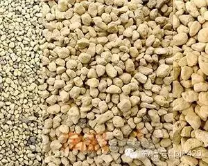 盆栽27種介質,收藏必有用!