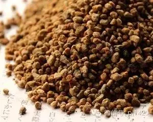 盆栽27種介質,收藏必有用!