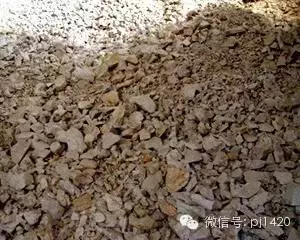 盆栽27種介質,收藏必有用!