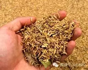 盆栽27種介質,收藏必有用!