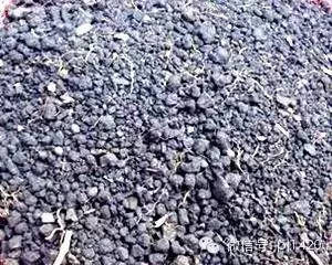 盆栽27種介質,收藏必有用!