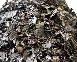 盆栽27種介質,收藏必有用!