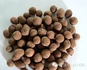 盆栽27種介質,收藏必有用!