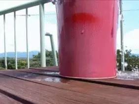 露天浴什麼的簡直太好了,貓咪泡在水裡都不出來了!