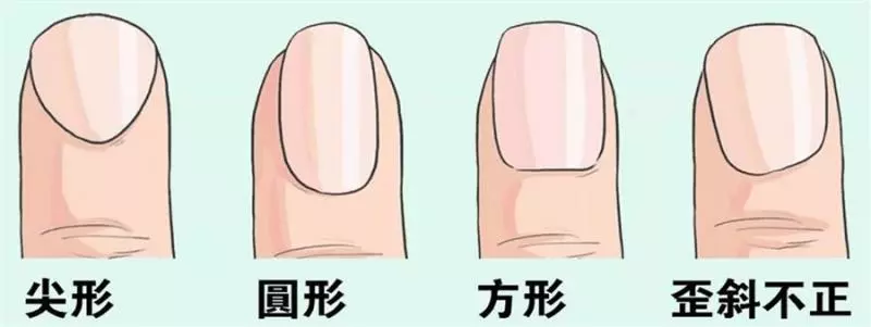 伸出你的手,你的指甲和哪種相符?測出你的性格好命!