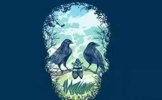 美國圖像測試:第一眼最先看到什麼,測你的真實性格!