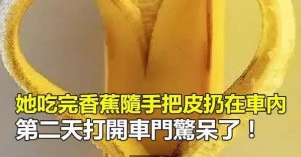 香蕉皮的用處甚至比果肉還多….好處多多!!!