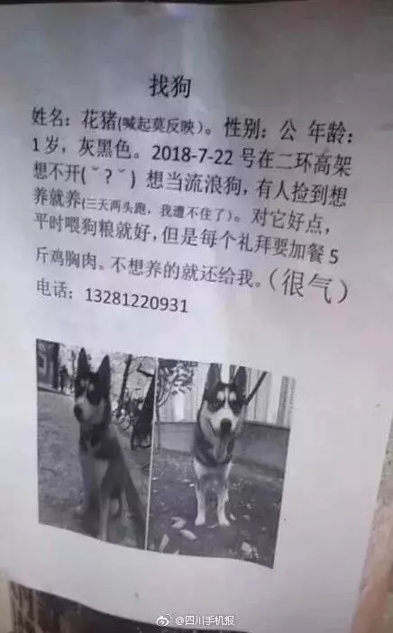 史上最佛系尋狗啟示,笑慘了!狗丟了還能這樣找?