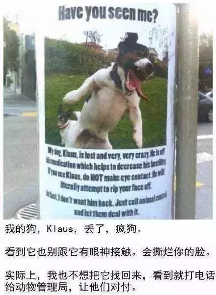 史上最佛系尋狗啟示,笑慘了!狗丟了還能這樣找?
