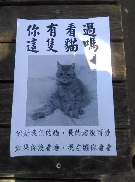 史上最佛系尋狗啟示,笑慘了!狗丟了還能這樣找?