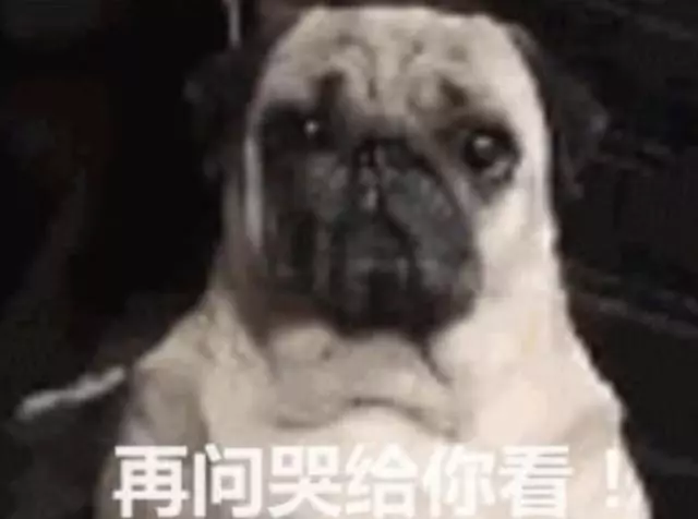 買海鮮問多少錢,狗老闆卻委屈哭了,汪:我在賣藝你就賞點吧