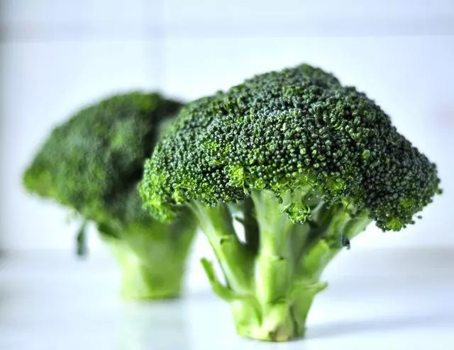 你還在為狗狗能吃什麼而糾結嗎?盤點10種狗狗可以吃的人類食物