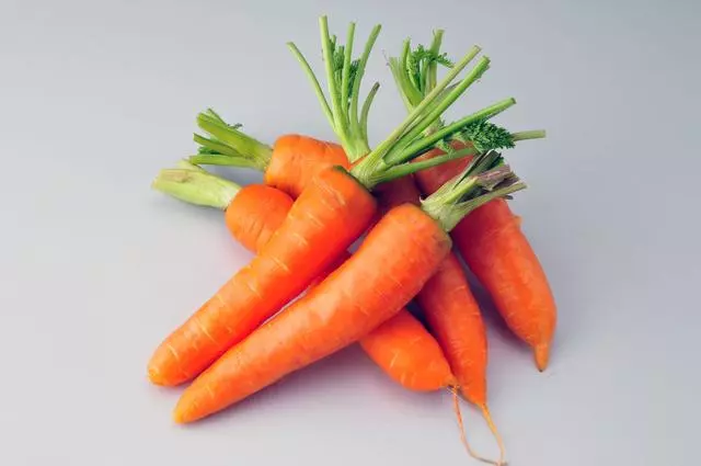 你還在為狗狗能吃什麼而糾結嗎?盤點10種狗狗可以吃的人類食物