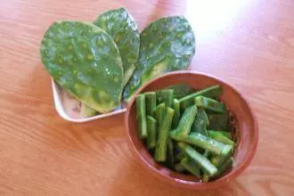 插哪都能活,燙傷、手癬、牙疼、牛皮癬都能用的上,在家就能養,關鍵時刻能救命! -