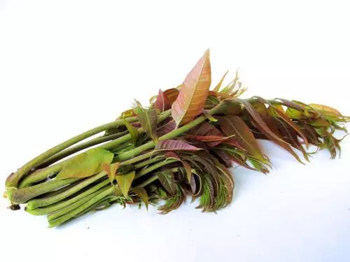 這3種野菜才是血管「清道夫」,少做這4件事,血液流通更順暢!