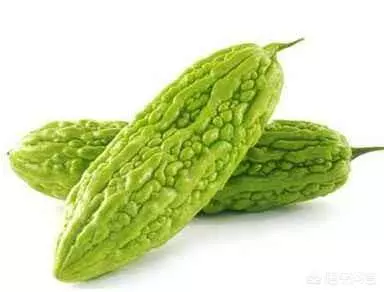 苦瓜對人體有哪些害處嗎?