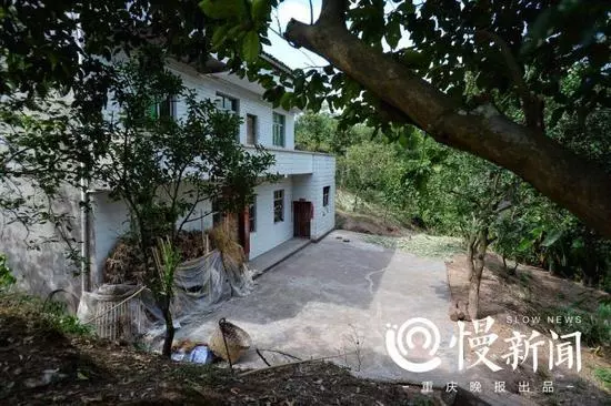 男童疑遭奶奶長期毒打 母親:婆媳關系不和遷怒孩子