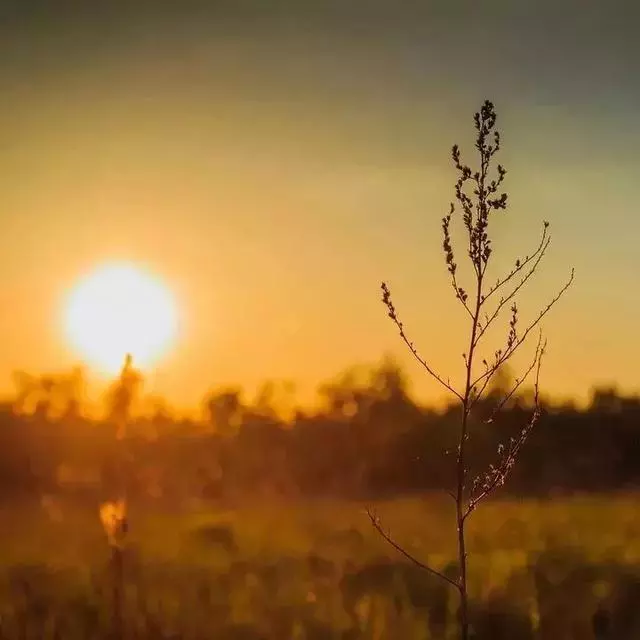 長期堅持早起的人,身體會發生這7種神奇的變化