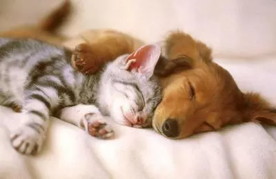 睡覺時身體會猛然抖一下,到底是怎麼回事?